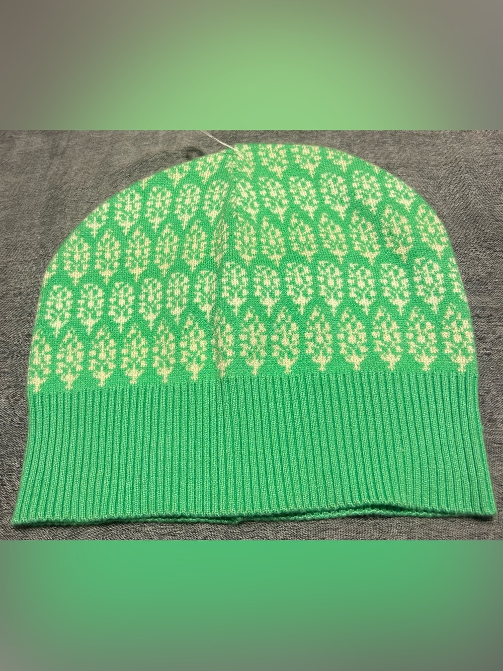 Free people Mint Green and Ivory Knit Beanie